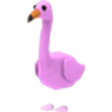 Flamingo в Adopt Me