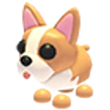 French Bulldog в Adopt Me