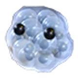 Frogspawn в Adopt Me