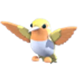 Golden Hummingbird в Adopt Me