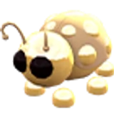 Golden Ladybug в Adopt Me