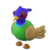 Green-Chested Pheasant в Adopt Me