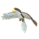 Hawk в Adopt Me