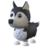 Husky в Adopt Me