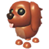 Irish Setter в Adopt Me
