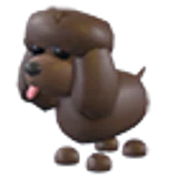 Irish Water Spaniel в Adopt Me
