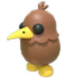 Kiwi в Adopt Me