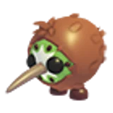Kiwi Kiwi в Adopt Me