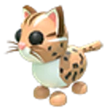 Leopard Cat в Adopt Me