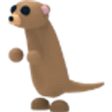 Meerkat в Adopt Me