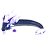 Midnight Dragon в Adopt Me