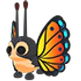 Mirai Moth в Adopt Me