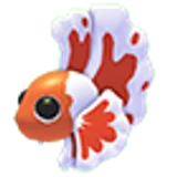 Orange Betta Fish в Adopt Me