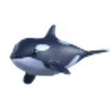 Orca в Adopt Me