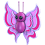 Orchid Butterfly в Adopt Me