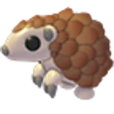 Pangolin в Adopt Me
