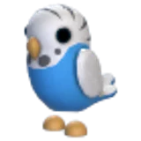 Parakeet в Adopt Me