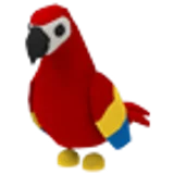 Parrot в Adopt Me