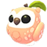 Peach Owl в Adopt Me