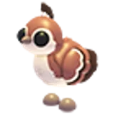 Peachick в Adopt Me
