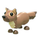 Pine Marten в Adopt Me
