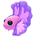 Pink Betta Fish в Adopt Me
