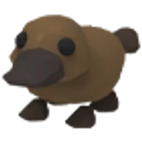 Platypus в Adopt Me