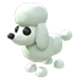 Poodle в Adopt Me