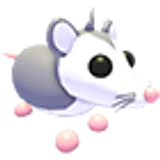 Possum в Adopt Me