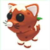 Pudding Cat в Adopt Me