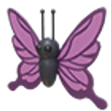 Purple Butterfly в Adopt Me