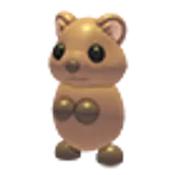 Quokka в Adopt Me