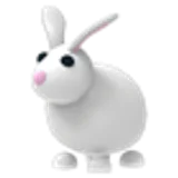 Rabbit в Adopt Me