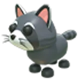 Raccoon в Adopt Me