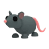 Rat в Adopt Me