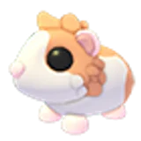Red Dutch Guinea Pig в Adopt Me