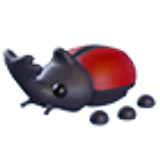 Rhino Beetle в Adopt Me