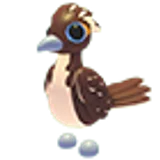 Roadrunner в Adopt Me