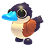 Ruddy Duck в Adopt Me