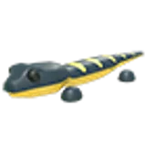 Salamander в Adopt Me