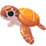 Sea Turtle в Adopt Me