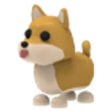 Shiba Inu в Adopt Me