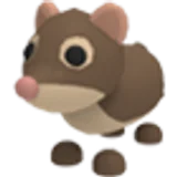 Shrew в Adopt Me