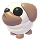 Snowball Pug в Adopt Me