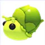 Sprout Snail в Adopt Me