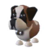 St Bernard в Adopt Me