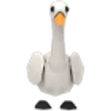 Swan в Adopt Me