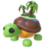 Tortuga de la Isla в Adopt Me