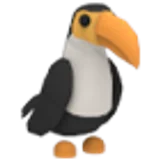 Toucan в Adopt Me