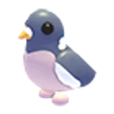Wood Pigeon в Adopt Me